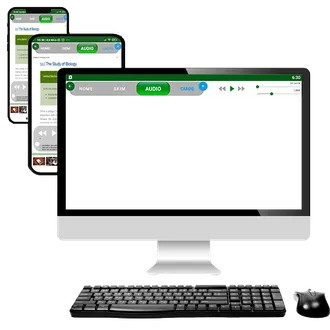 A journal article read in MyDocs on a monitor, a tablet and a phone